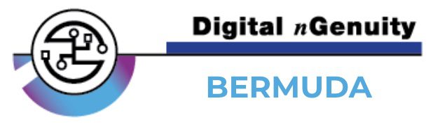Digital nGenuity Bermuda Ltd
